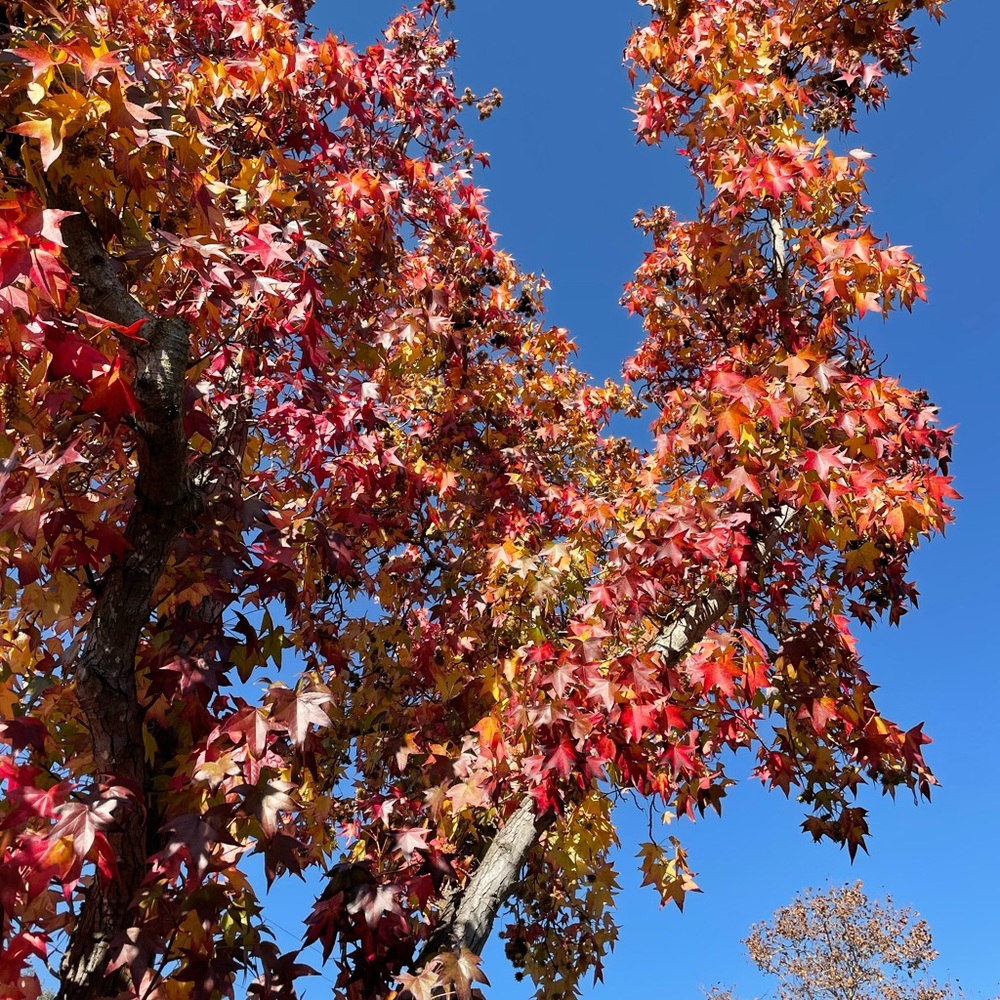 Meet your Posher, Lili